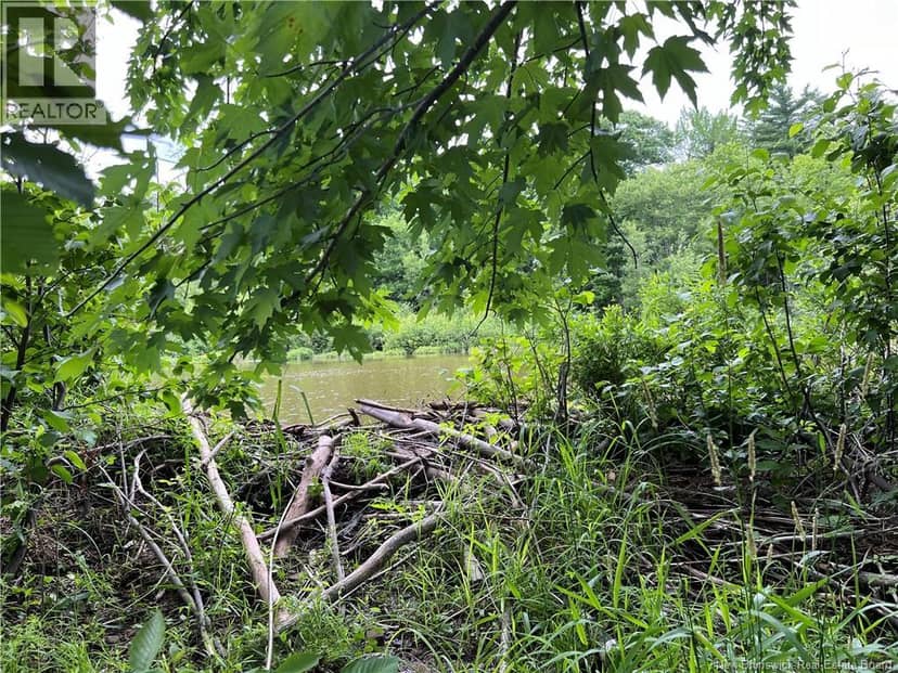 Vacant lot Lakeview Road — photo 30 of 37