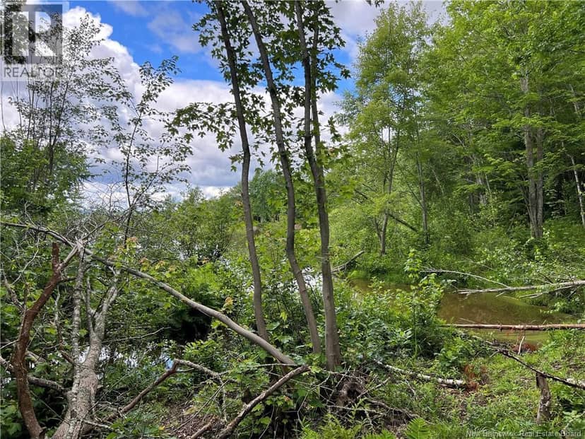 Vacant lot Lakeview Road — photo 32 of 37