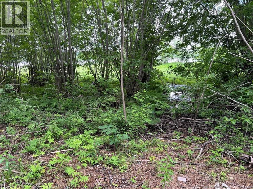 Vacant lot Lakeview Road — photo 36 of 37