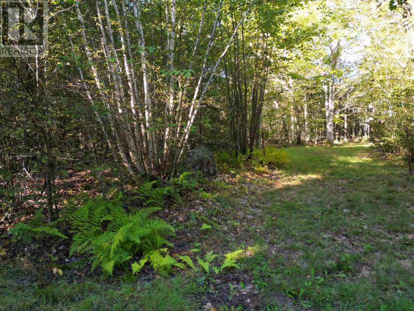 36 Blue Jay Road — photo 19 of 21