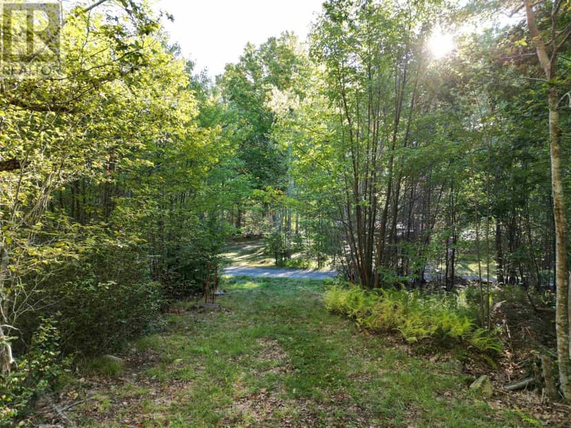 36 Blue Jay Road — photo 4 of 21