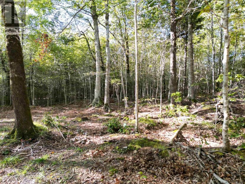 36 Blue Jay Road — photo 16 of 21