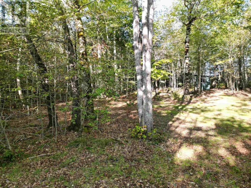 36 Blue Jay Road — photo 3 of 21