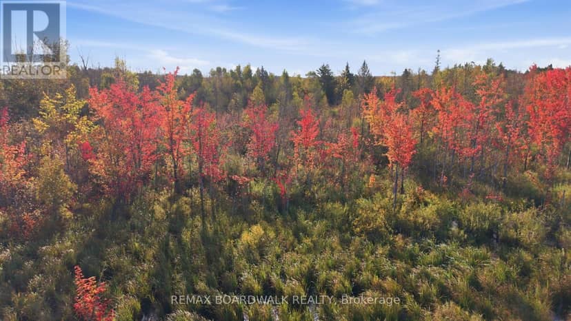 Con 7 Lot 6 Land O'Nod Road — photo 4 of 11