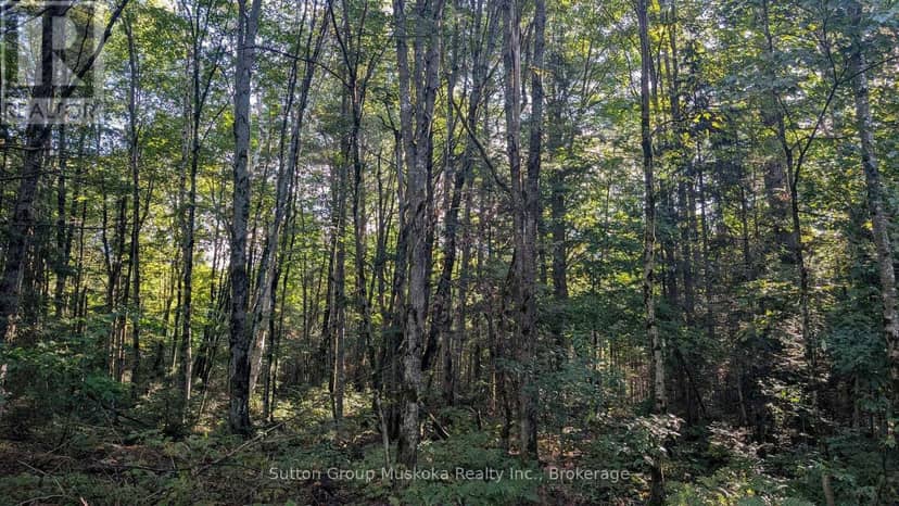 194 Clarkes Lane — photo 3 of 8