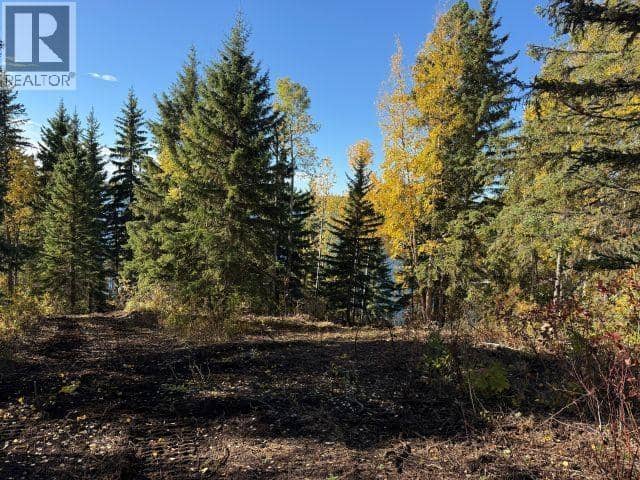 25260 N NESS LAKE ROAD, Prince George, photo 8