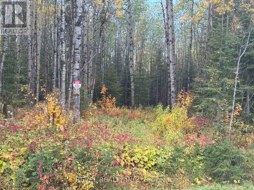 Con 1 N Pt Lot 3 McCart, Iroquois Falls