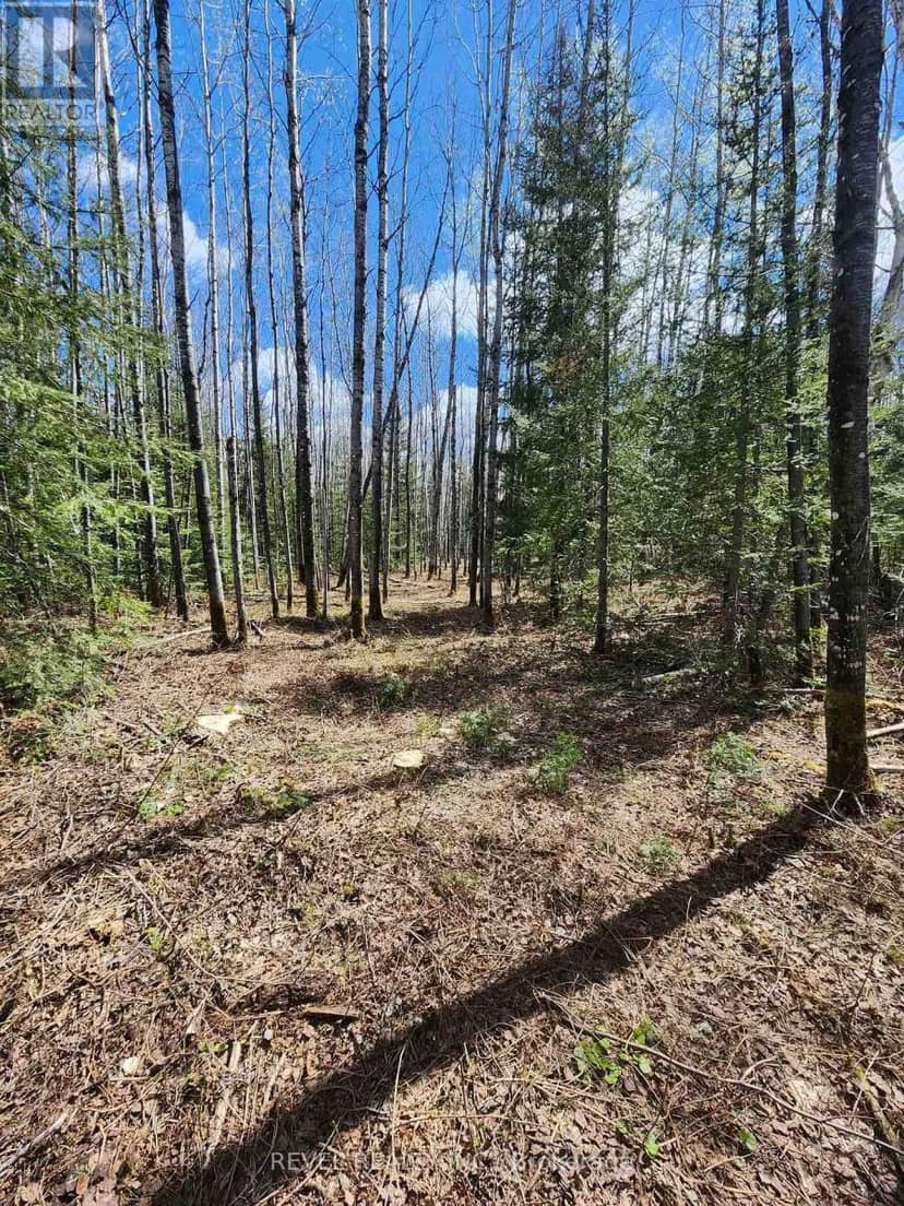 Con 1 N Pt Lot 3 McCart, Iroquois Falls, photo 5