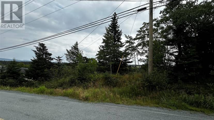177 Bauline Line — photo 3 of 5