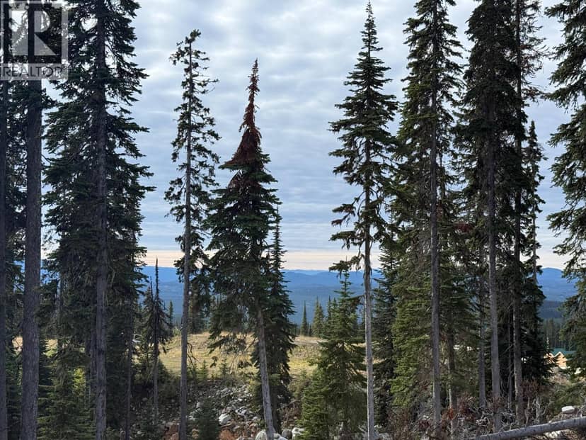 Black Forest Way Lot# 4, Big White, photo 7