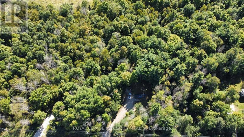 229 Norris Road — photo 24 of 24