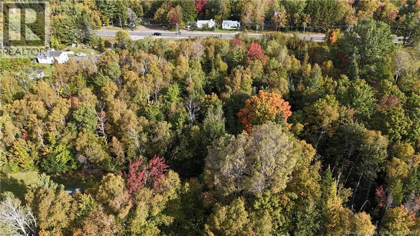 LOT Route 8 Highway, McNamee, photo 5