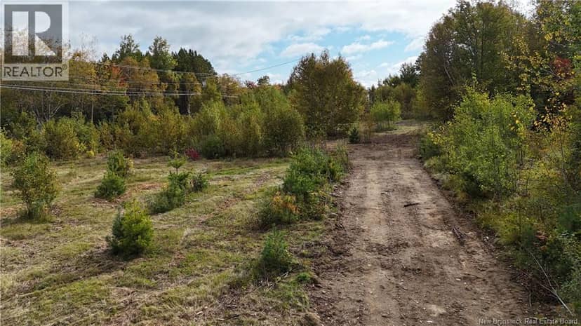 LOT Route 8 Highway, McNamee, photo 7