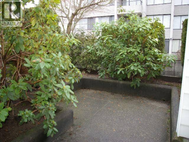 113 707 8 STREET, New Westminster, photo 2