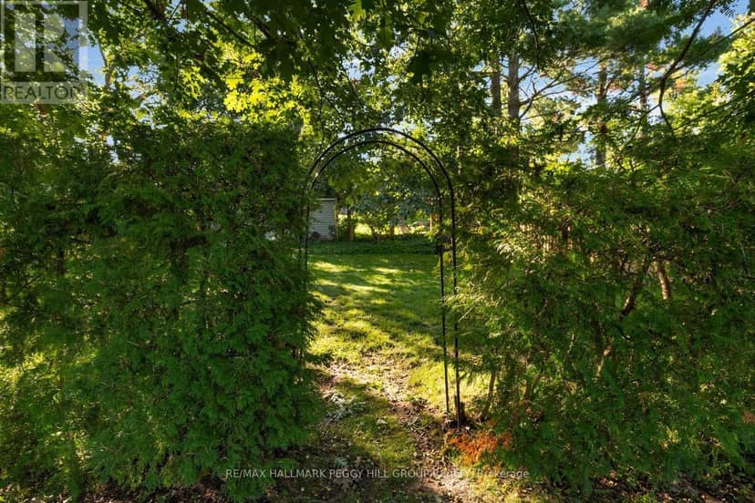 109 Codrington Street — photo 18 of 23
