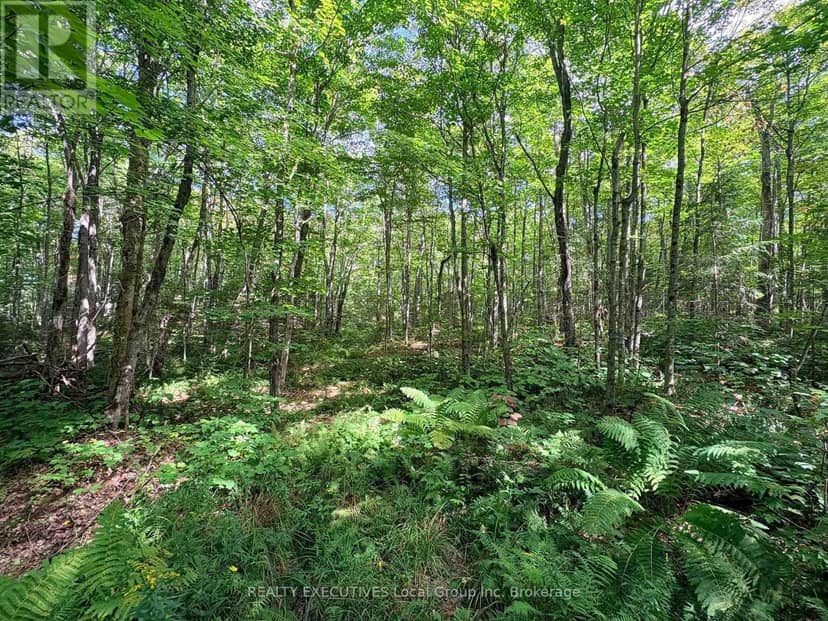 Lot 1 Widdifield Station Road, North Bay, photo 4
