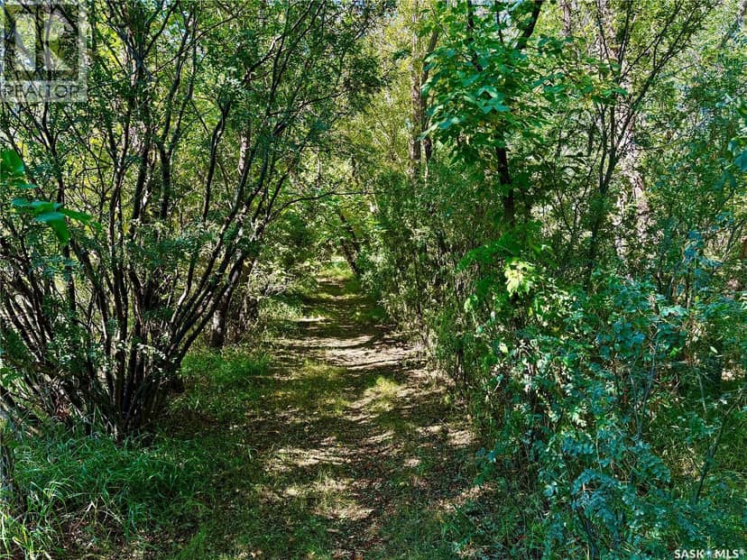 Double G Ranch, 80 Acres close to Clavet — photo 33 of 40