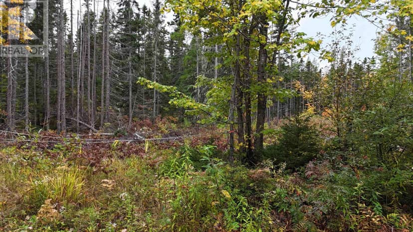 Farley Road, St. Lawrence, photo 3