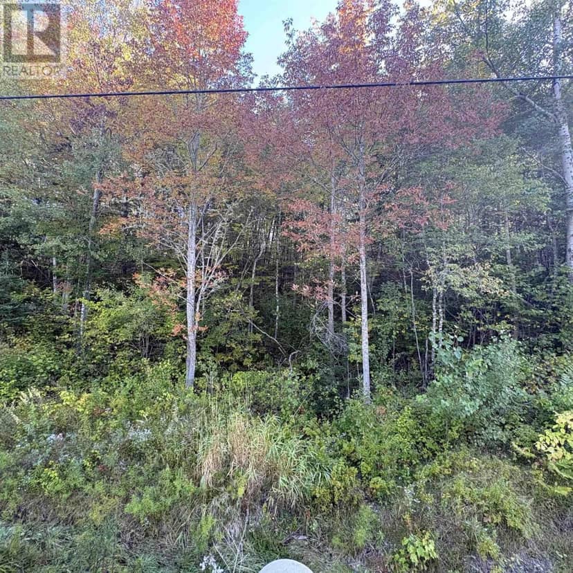 Lot 3 Ohio East Road, St. Joseph, photo 8
