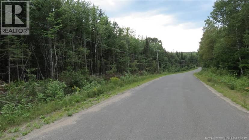 N/A Upper Woodlands, Cardigan, photo 2