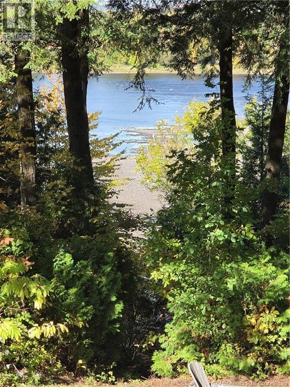 28 River Lane, Fredericton, photo 8