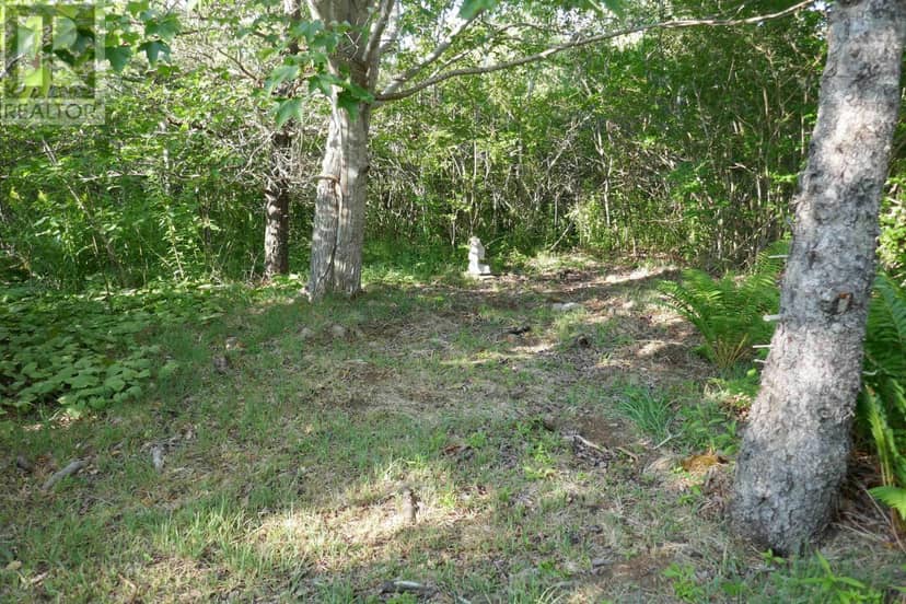 Lot (PID 05110853) Shore Road W — photo 20 of 31
