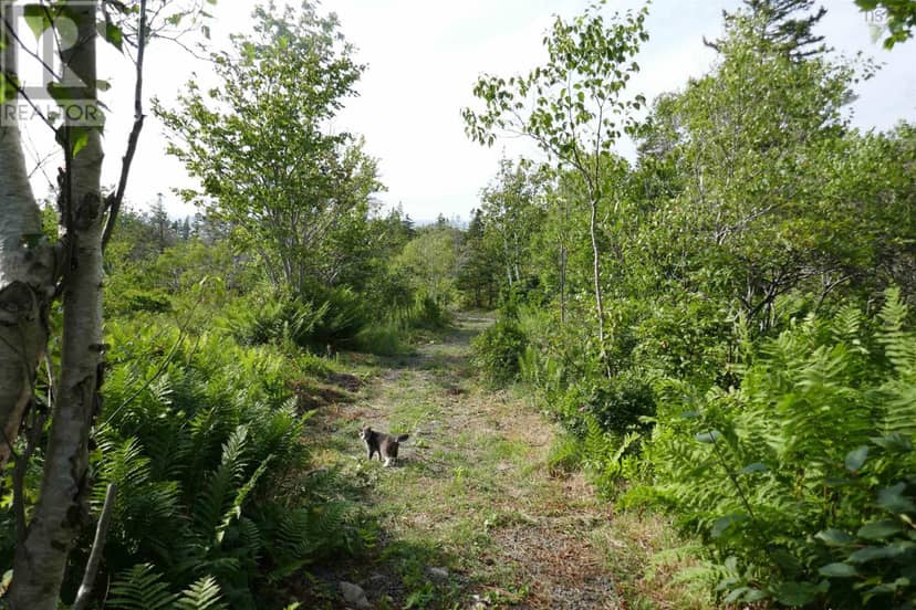 Lot (PID 05110853) Shore Road W — photo 25 of 31