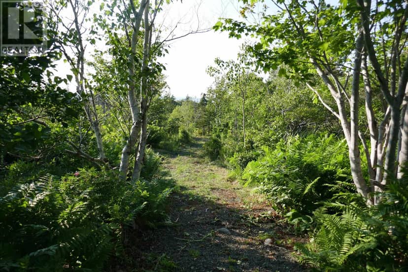 Lot (PID 05110853) Shore Road W — photo 21 of 31