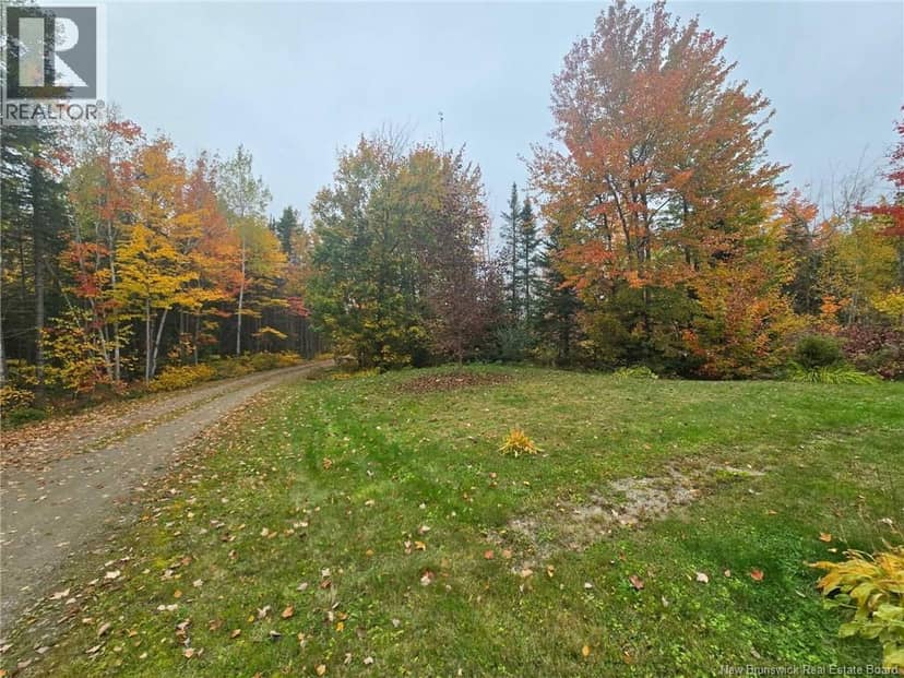 275 Chamberlain Settlement — photo 17 of 34