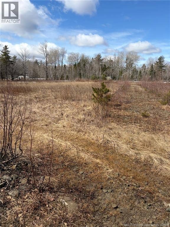 1 Acre Bellefond Road — photo 1 of 4