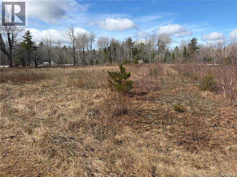 1 Acre Bellefond Road — photo 2 of 4