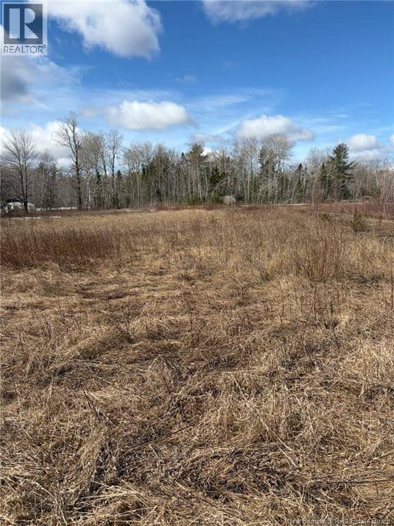 1 Acre Bellefond Road — photo 3 of 4