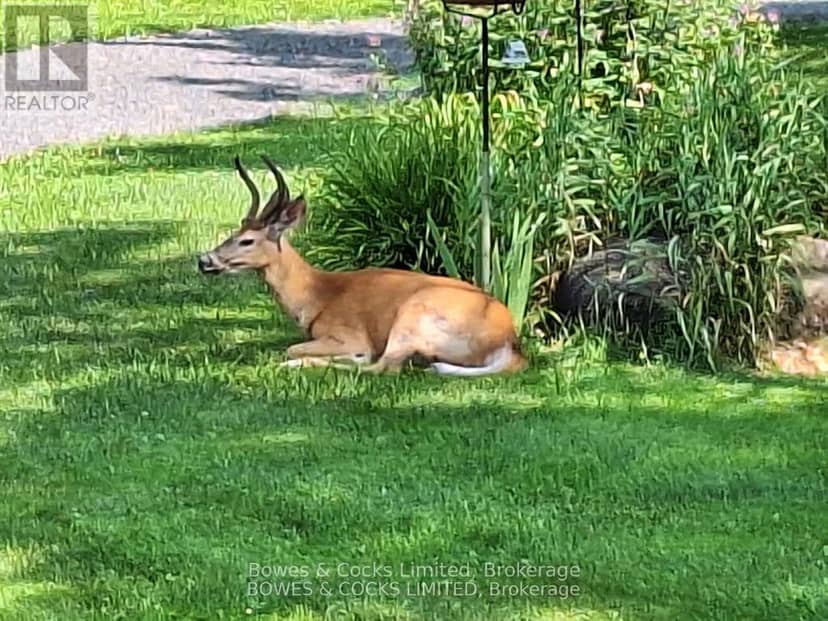72 Jones Road — photo 31 of 40