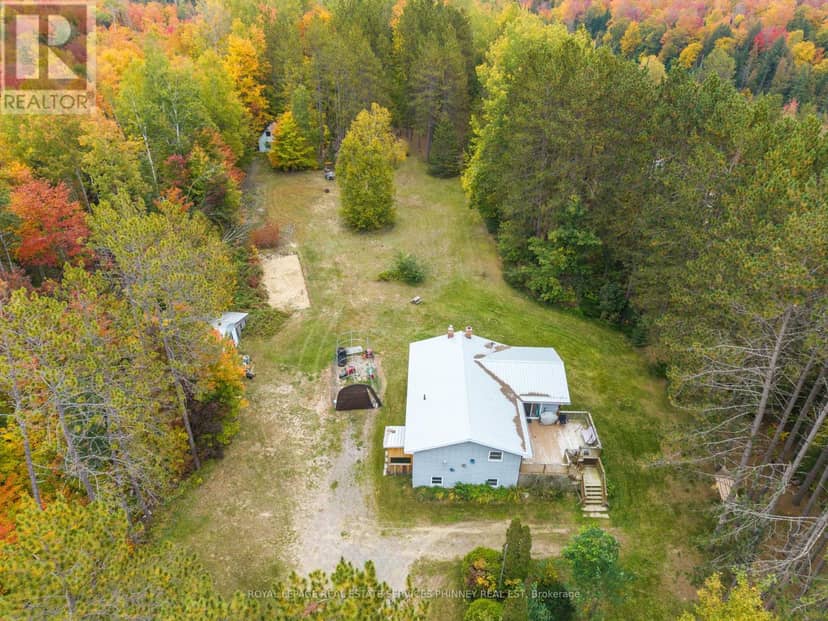 5073 Weslemkoon Lake Road, Tudor and Cashel, photo 4