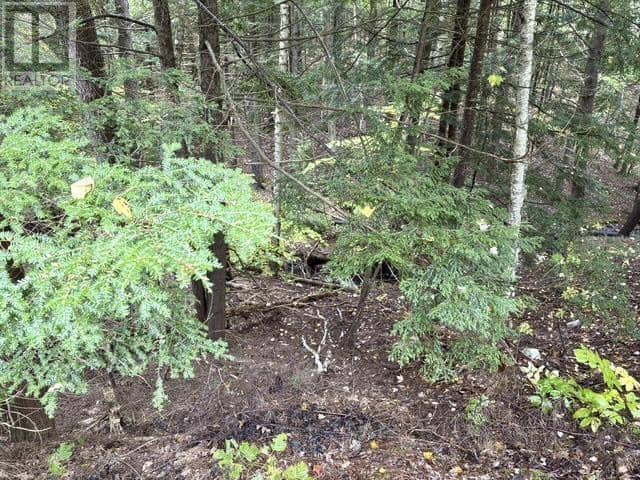 51 Shelby Crescent — photo 28 of 31