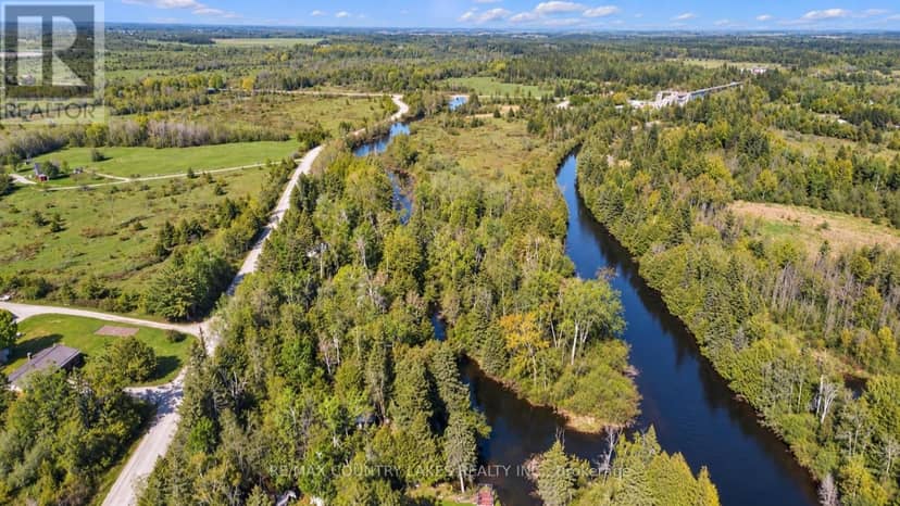 77 McGuire Beach Road, Kawartha Lakes, photo 6