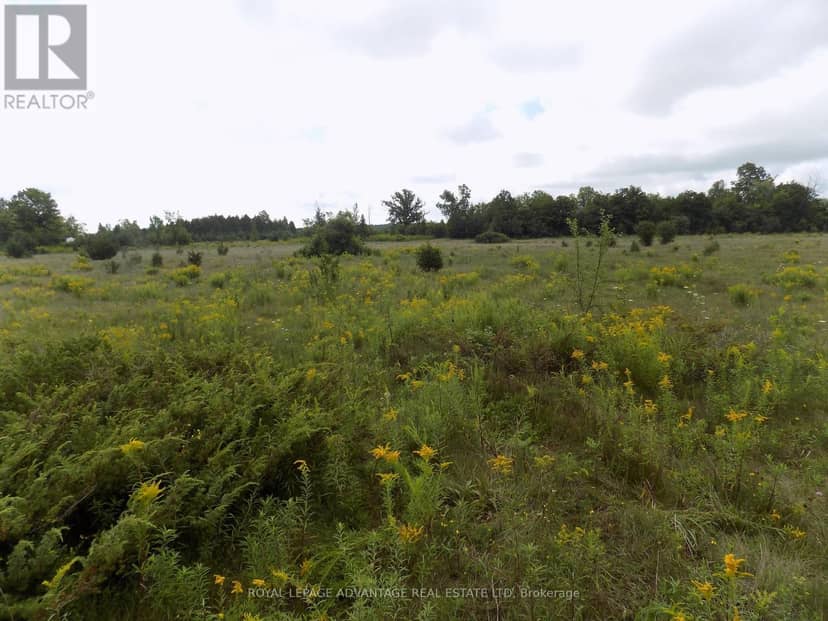 00 Hwy 43 Highway W, Drummond/North Elmsley, photo 5