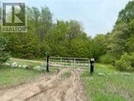 1703 Matawatchan Road, North Frontenac, photo 5