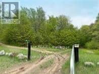 1703 Matawatchan Road, North Frontenac, photo 6