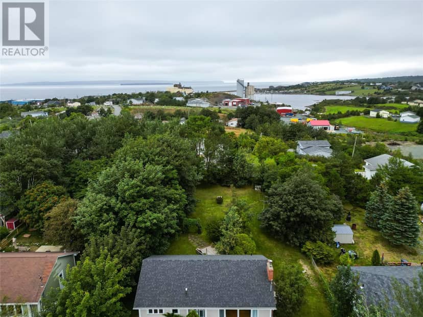 368 Conception Bay Highway — photo 31 of 39
