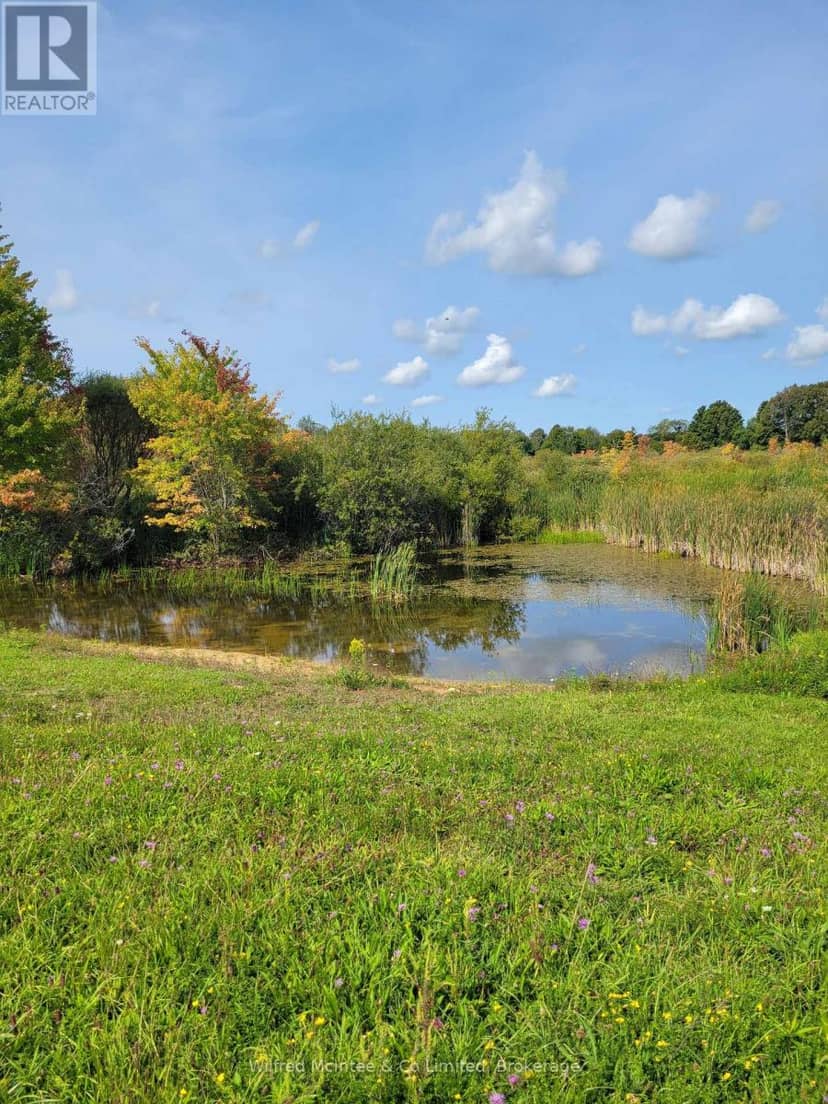316900 Hwy 6, Chatsworth, photo 2