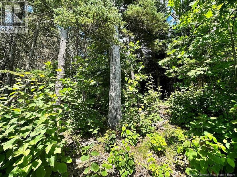 Lot Route 105 — photo 4 of 4