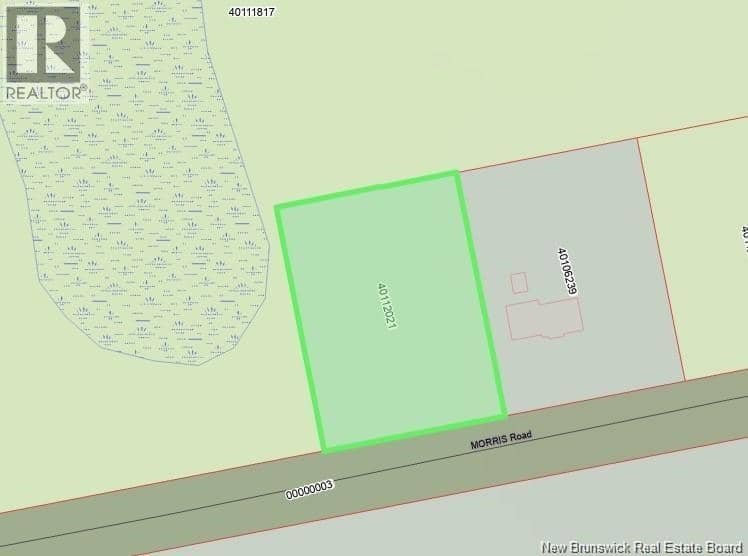 Lot Morris Road — photo 1 of 2
