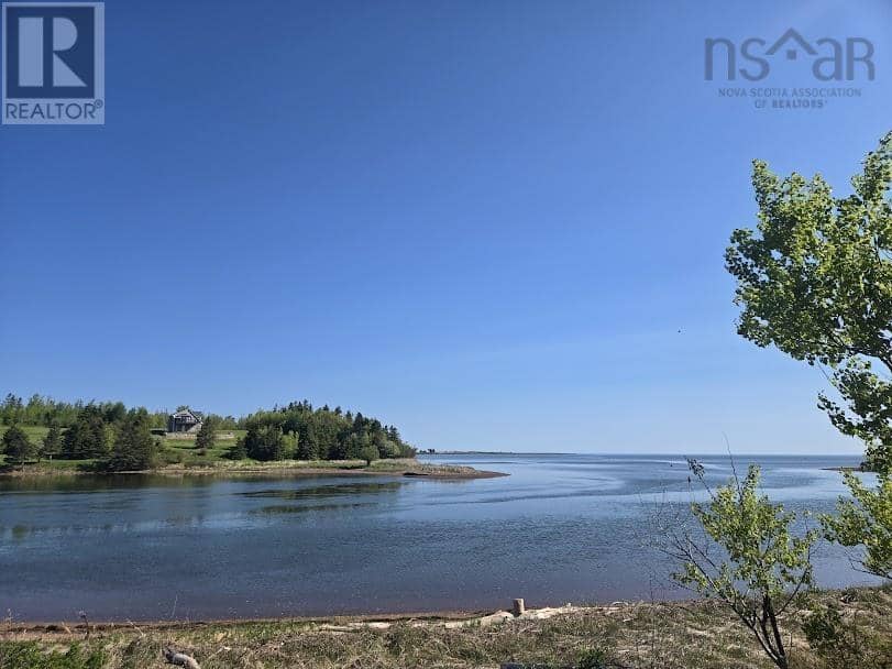 1.61 acres King Lothar Drive — photo 4 of 6
