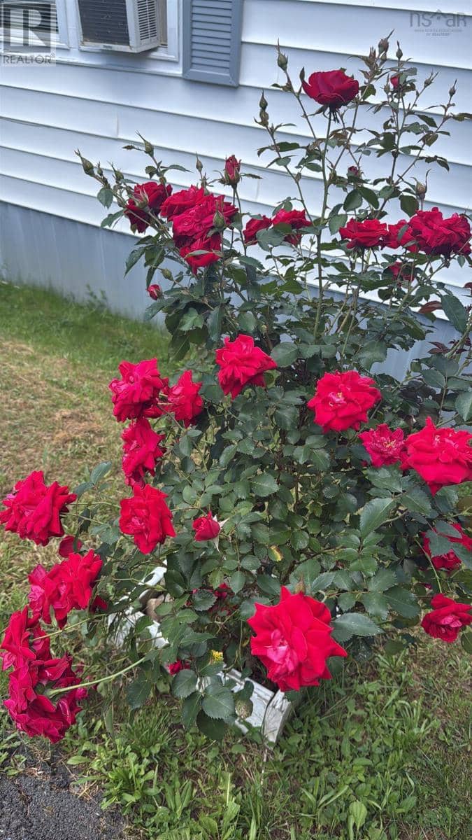 3 Heather Street — photo 3 of 40