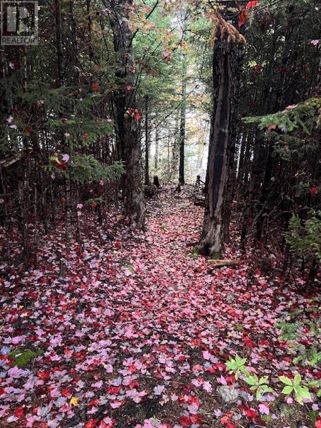 110 Oakridge Road — photo 35 of 40
