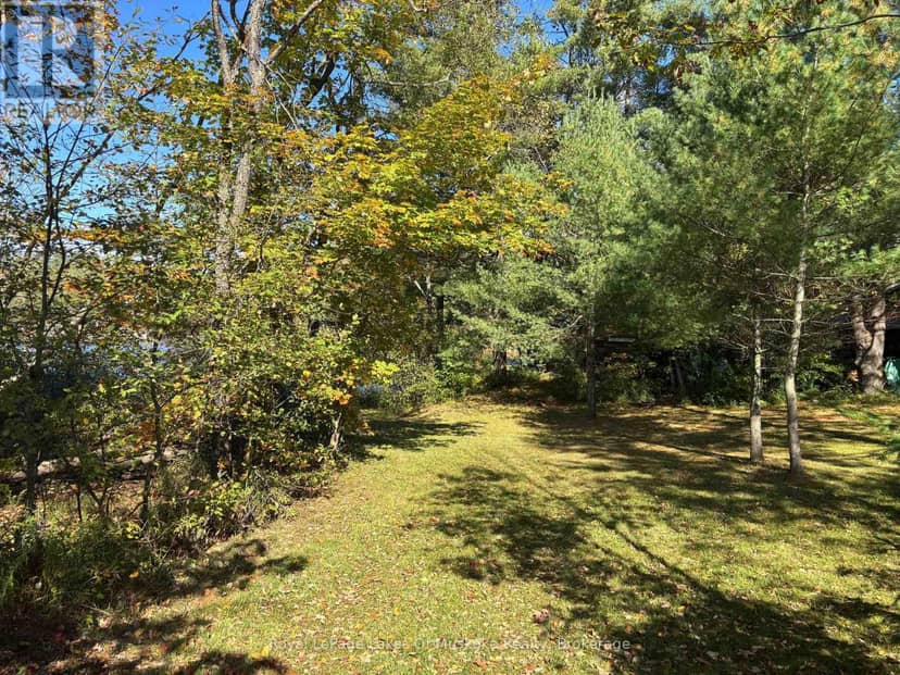 1345 Highway 118 East, Bracebridge, photo 3