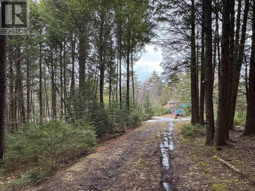 95 Natural Forest Lake Road — photo 39 of 40