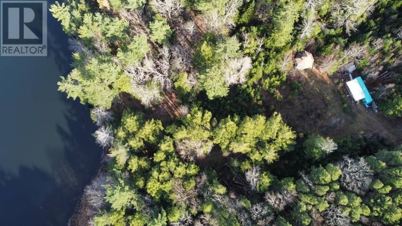 95 Natural Forest Lake Road, Upper Cornwall, photo 3