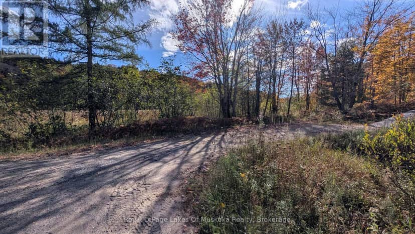 Pt Lt 14 Con B Highway 141 Highway — photo 11 of 11